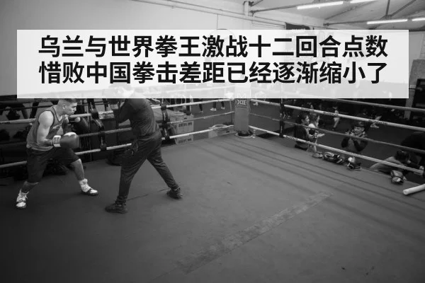boxer training gym